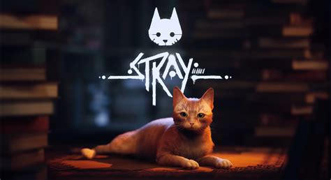 stray cat game|Buy Stray .